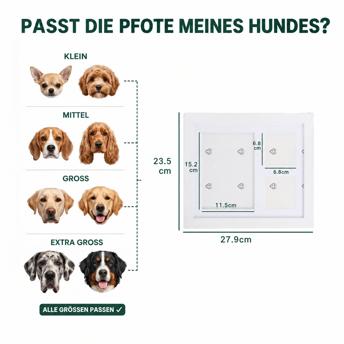 BIDIKLAND™ Pfotenabdruck Set