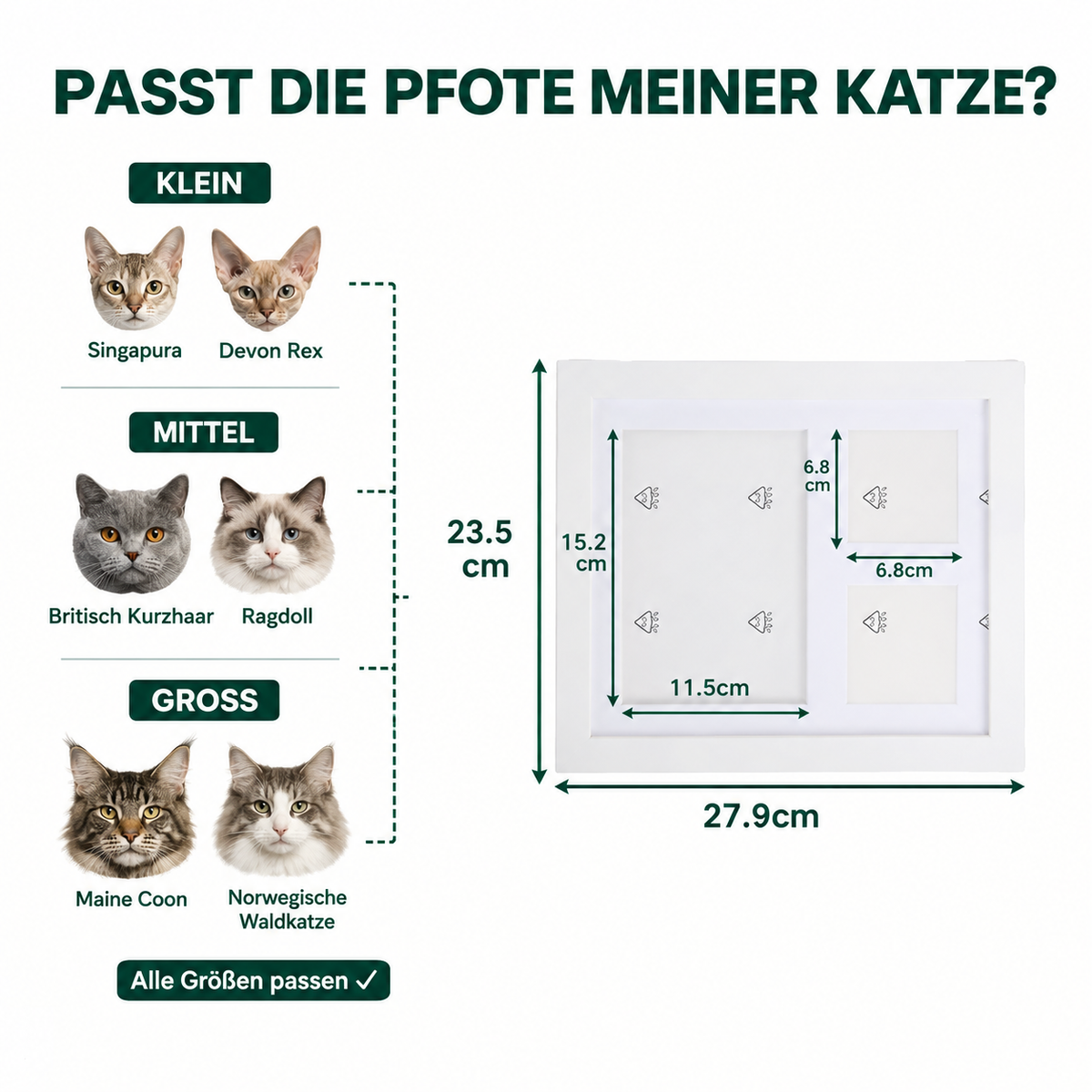 BIDIKLAND™ Pfotenabdruck Set